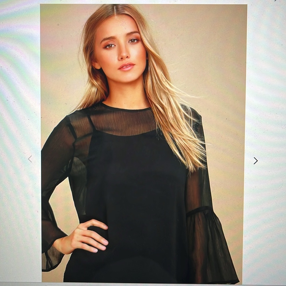 Lulus Sheer Black Long Sleeve Blouse